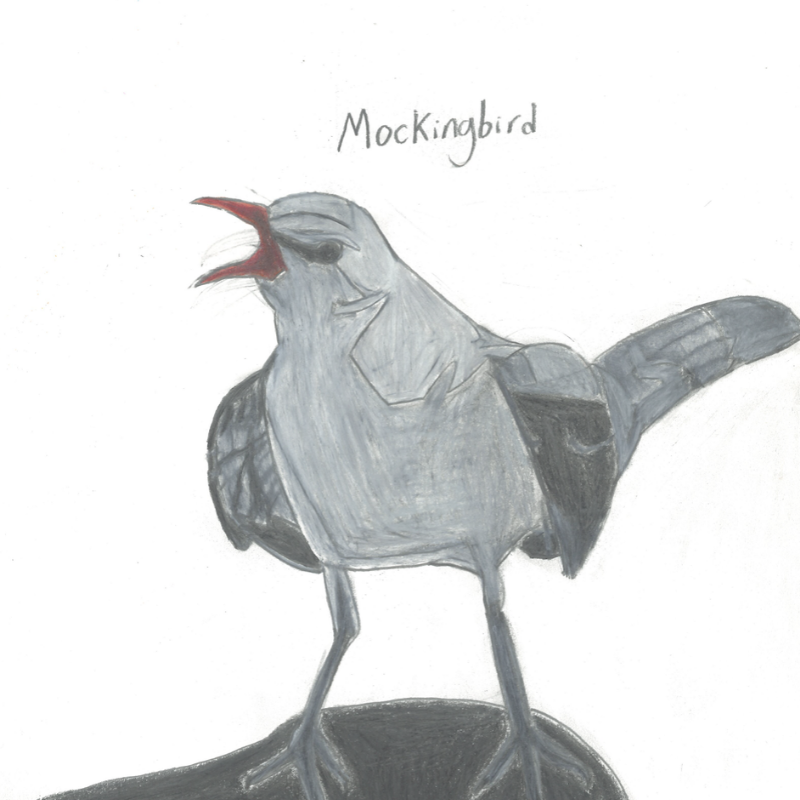 Mockingbird