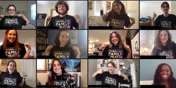 intern-2021-edit A screen capture of interns on Zoom.