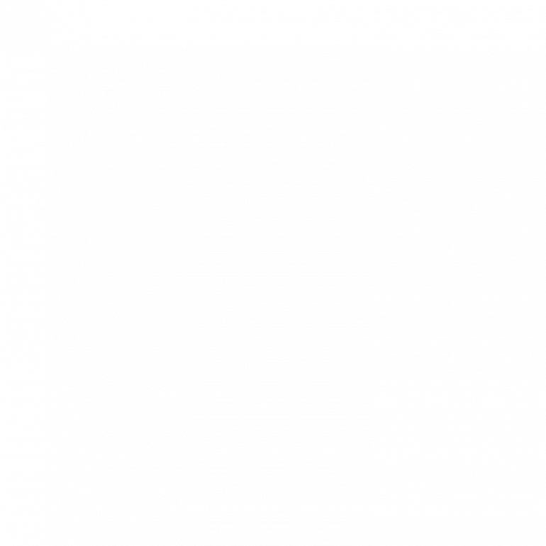 Finding Nemo Logo